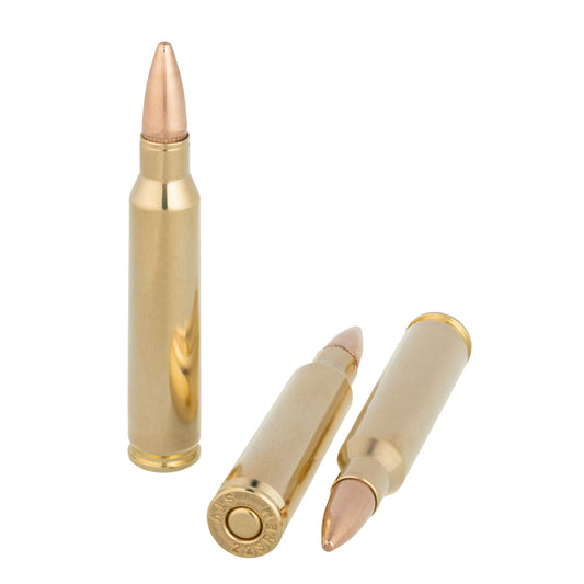 SCORPIO AMMO 223REM 55GR FMJ 20RD